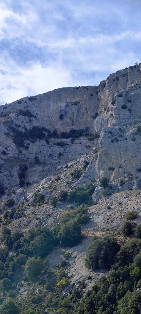 Urzulei den bas.jpeg