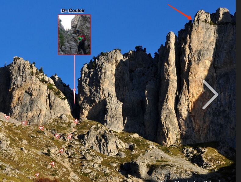 Fichier:Un Pin cest tout2.jpg