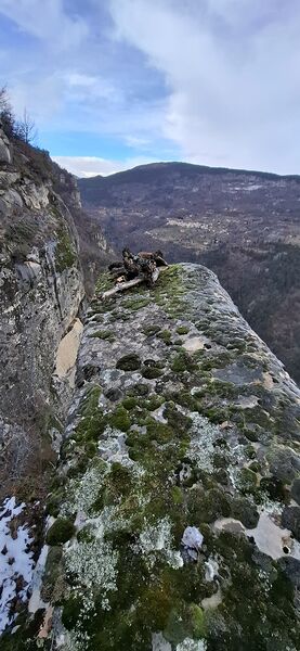 Fichier:Martal exit.jpg