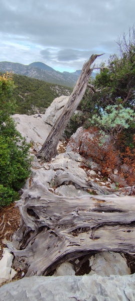 Fichier:Exit cala luna 1.jpeg