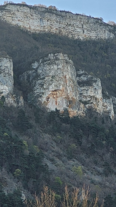 Abandonfalaise.jpeg